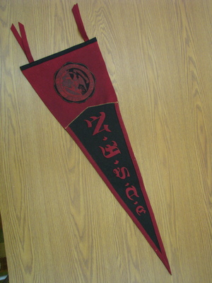 original NIU pendant